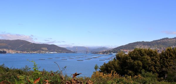 Qué hacer en Vigo